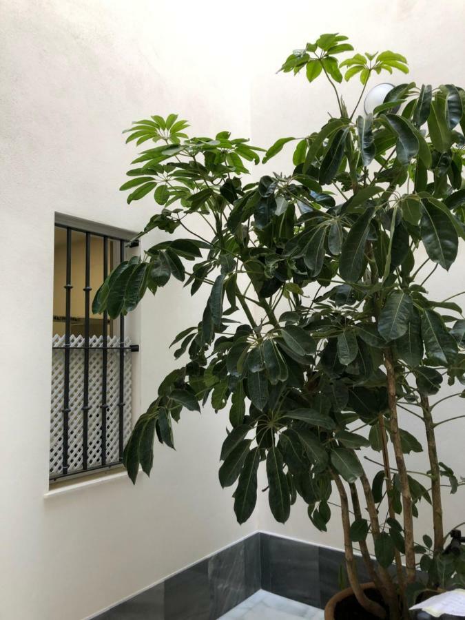 Apartmán Jano Puertatierra Cádiz Exteriér fotografie